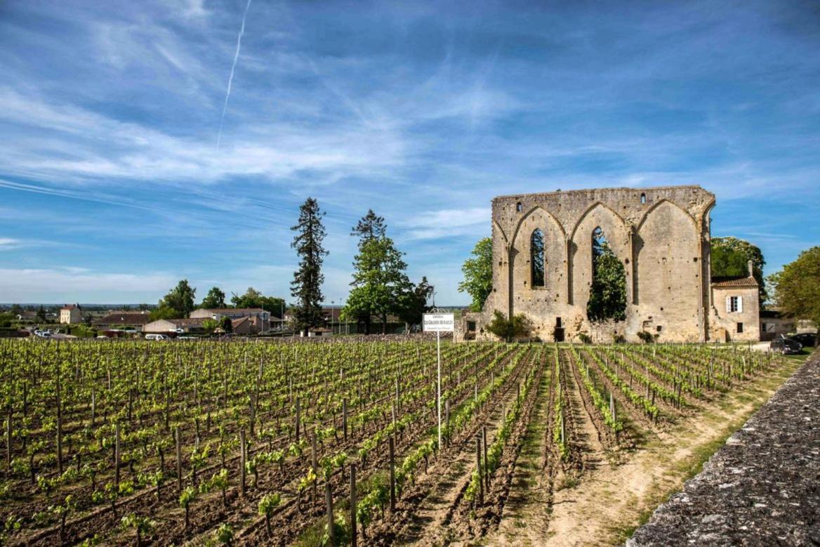 Maison Cosy Avec Vue Sur Les Vignes. Libourne Exterior foto