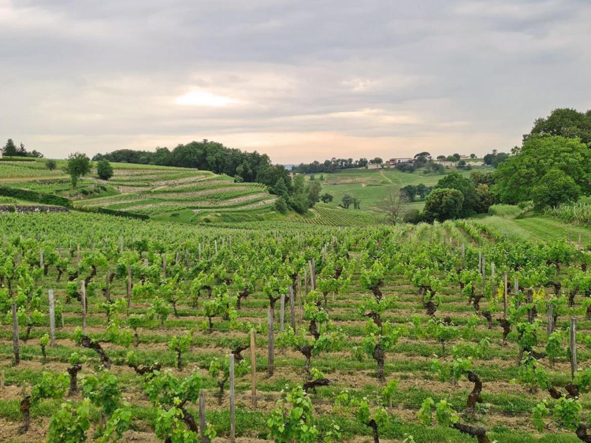 Maison Cosy Avec Vue Sur Les Vignes. Libourne Exterior foto